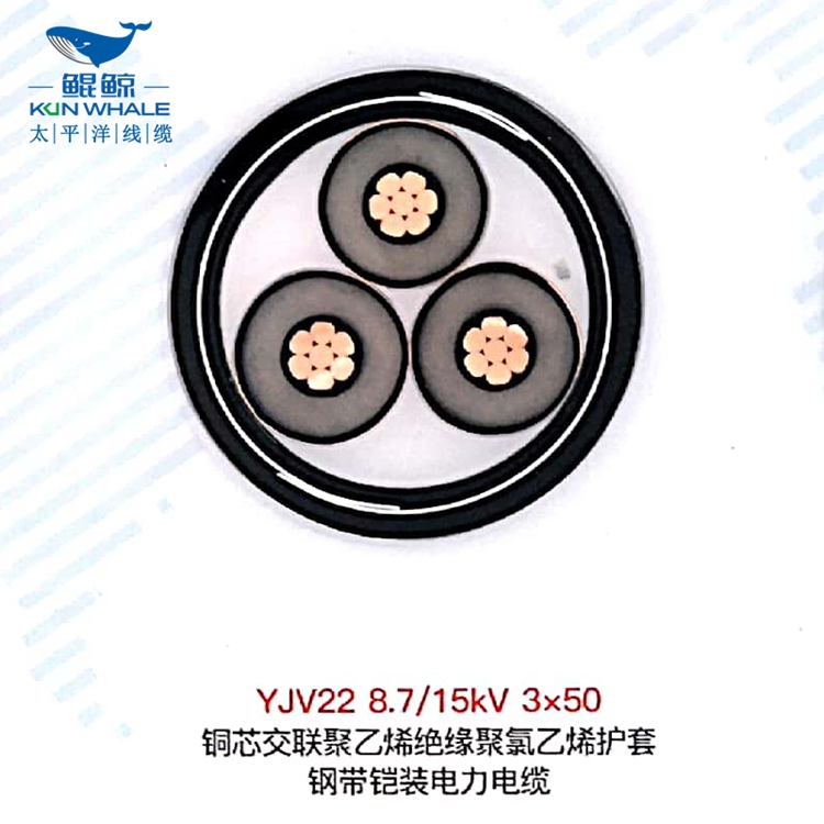 鄭州電纜廠高低壓電纜廠商淺談鎧裝電纜有哪些特點(diǎn)？鎧裝電纜型號
